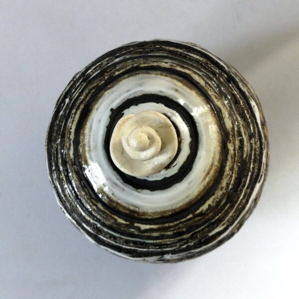 Céramique boîte sculptée "Spirale Australe"