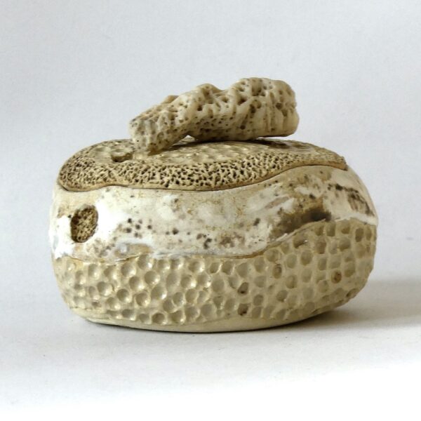 Céramique boite sculptée "Corail Ecru"